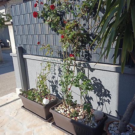 شقة Apartman Lara زادار المظهر الخارجي الصورة